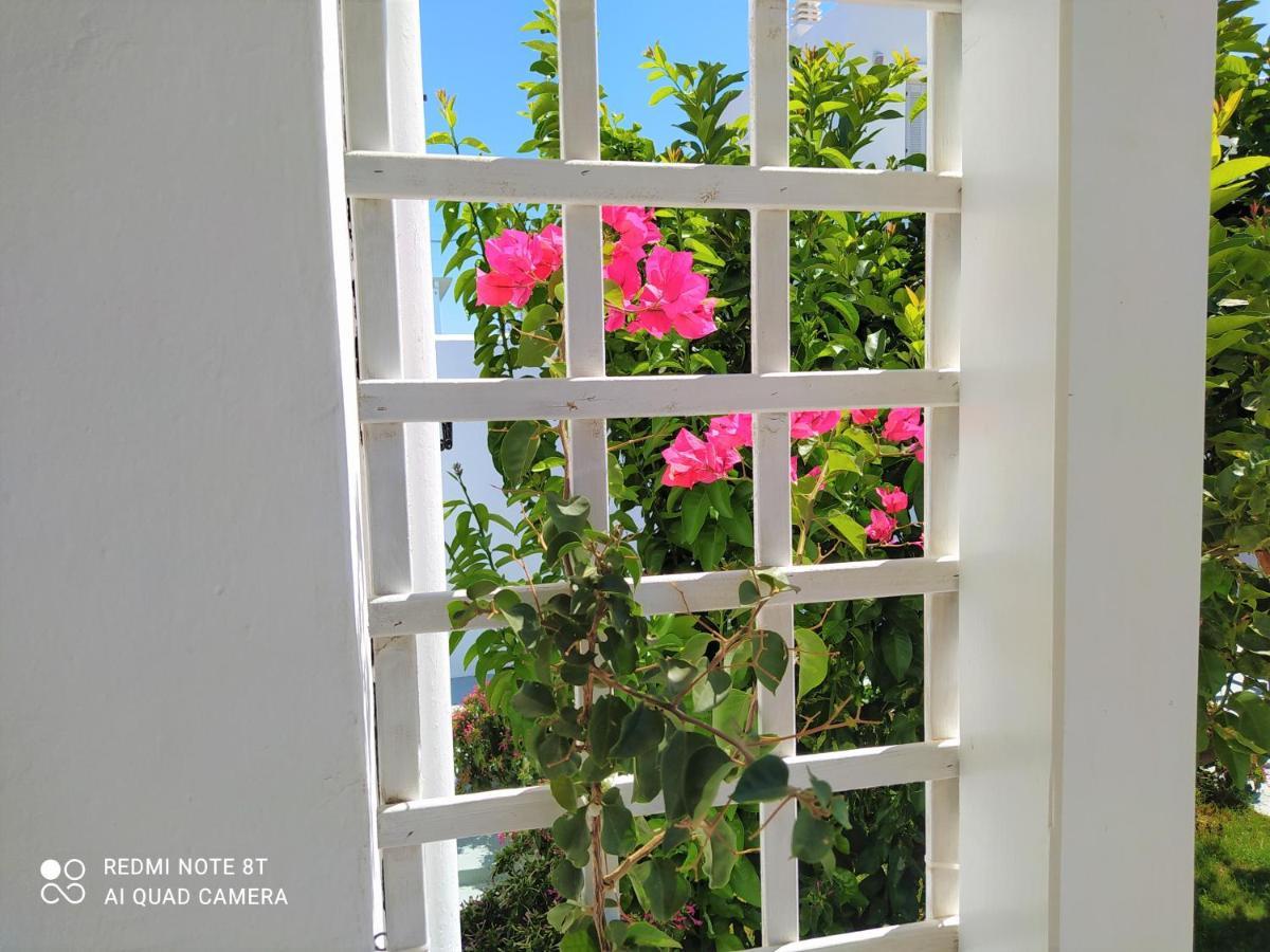 Geoni'S Villa & Garden Spa อพอลโลเนีย ภายนอก รูปภาพ
